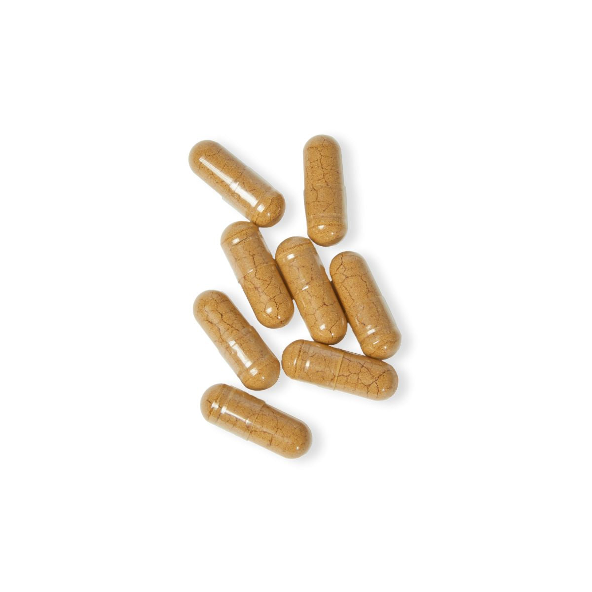 Mushroom Blend (60 Caps)