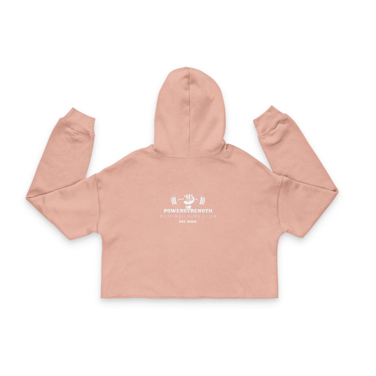 Crop Hoodie V2