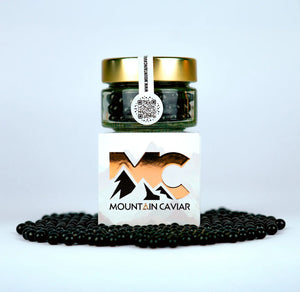 Shilajit de l'Himalaya de qualité supérieure