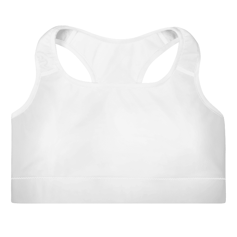 Sports Bra V2